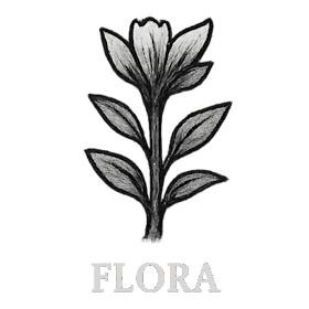 Flora