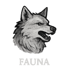 Fauna